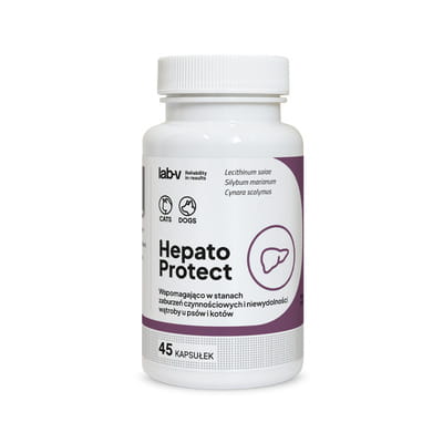 pol_pm_Lab-v-Hepato-Protect-Wspomaganie-funkcji-watroby-dla-psow-i-kotow-45-kapsulek-171_4.jpg