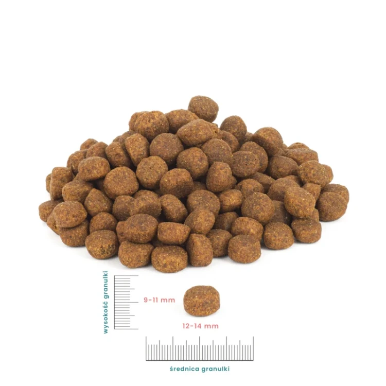 perro-miarka-mala-800x800.webp