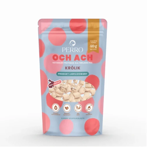 krolik1.webp