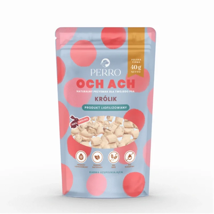 krolik1.webp