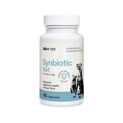 pol_pm_Lab-v-Synbiotic-Vet-Wsparcie-zdrowia-ukladu-pokarmowego-i-mikroflory-jelitowej-45-kapsulek-174_1.jpg