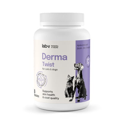 pol_pm_Derma-Twist-wsparcie-skory-siersci-i-bariery-ochronnej-dla-psow-i-kotow-60-kapsulek-twist-off-222_1.jpg