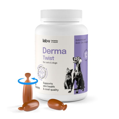 pol_pm_Derma-Twist-wsparcie-skory-siersci-i-bariery-ochronnej-dla-psow-i-kotow-60-kapsulek-twist-off-222_6.jpg