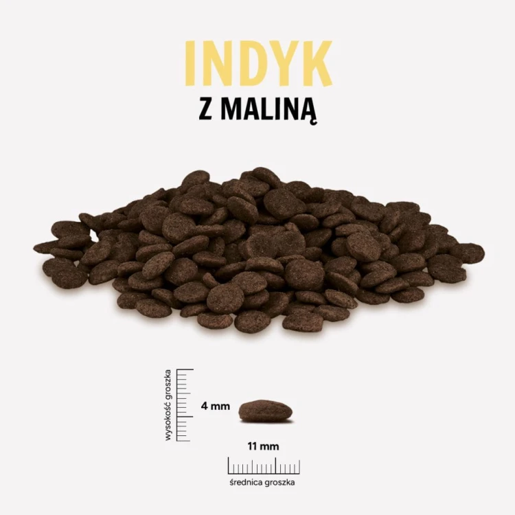 INDYK-MALINA-1024x1024.jpg