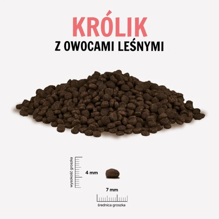 KROLIK-OWOCE-LESNE-1024x1024.jpg