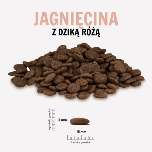 JAGNIECINA-ROZA-1024x1024.jpg