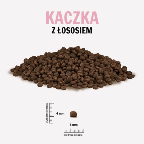 KACZKA-LOSOS-1024x1024.jpg