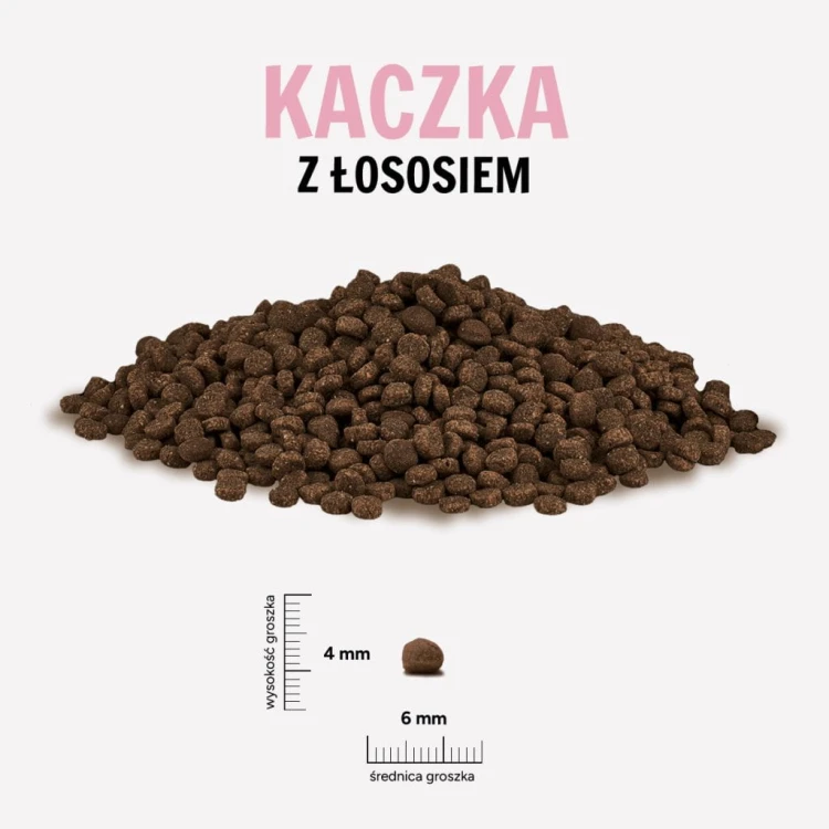 KACZKA-LOSOS-1024x1024.jpg