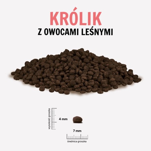 KROLIK-OWOCE-LESNE-1024x1024.jpg