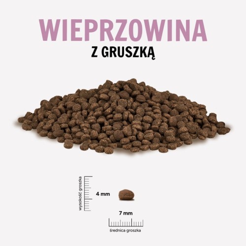 WIEPRZOWINA-GRUSZKA-1024x1024.jpg