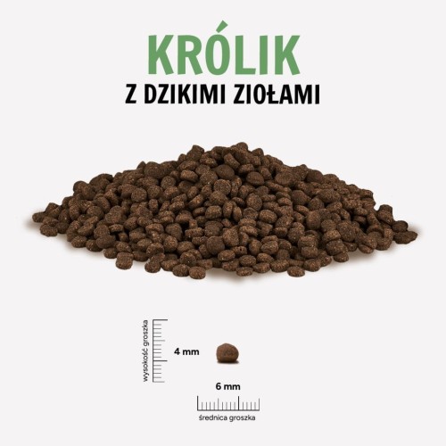 KROLIK-ZIOLA-1024x1024.jpg