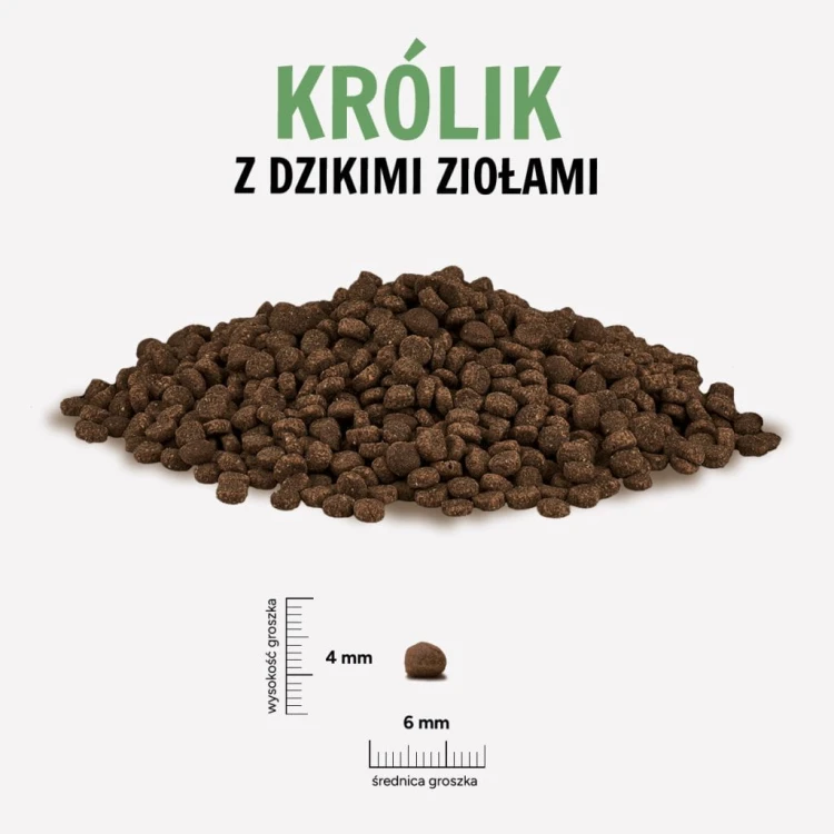 KROLIK-ZIOLA-1024x1024.jpg