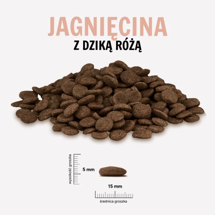 JAGNIECINA-ROZA-1024x1024.jpg