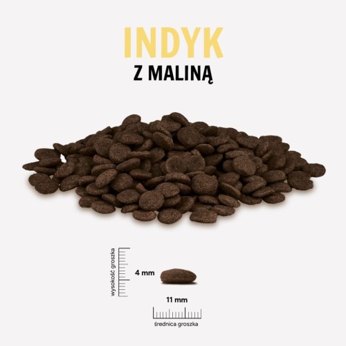 INDYK-MALINA-1024x1024.jpg