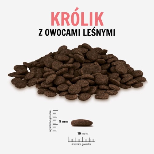 KROLIK-OWOCE-LESNE-L-1024x1024.jpg