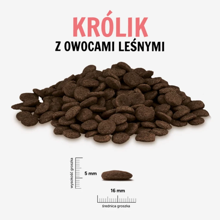 KROLIK-OWOCE-LESNE-L-1024x1024.jpg