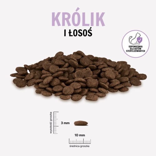 KROLIK-LOSOS-KOT-1024x1024.jpg