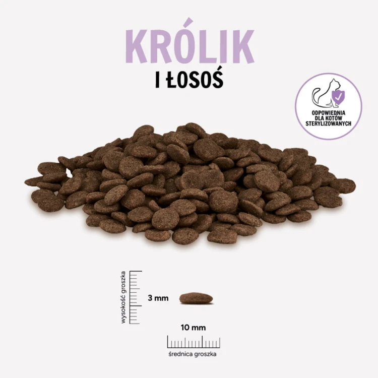 KROLIK-LOSOS-KOT-1024x1024.jpg